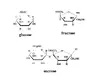 glucose-fructose-sucrose