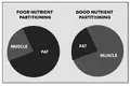 nutrient-partitioning-pie chart