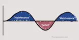 Phase-diet-graph