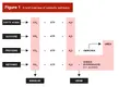 A brief overview of catabolic pathways