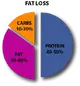 Fat Loss Phase