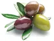 IM0917_E2G_Olives-2-800x600.webp