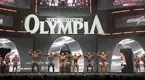 2023 Olympia Men's Bodybuilding comparisons