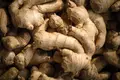 im0616_researchnutrition_gingerroot_01