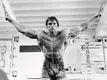 arnold-Workout.webp