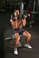 The_Arnold_press-683x1024.webp