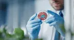 Scientist holding a petri dish of Plant-Based Meat Alternatives labeled for vegans