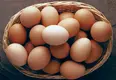 Brown-eggs.webp