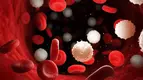 Thread 'Mayo Clinic study finds dysfunctional white blood cells linked to heightened melanoma risk'