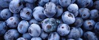 Blueberries