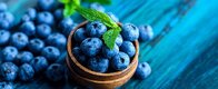 Blueberries-Benefits