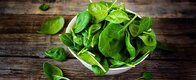 Spinach-Benefits