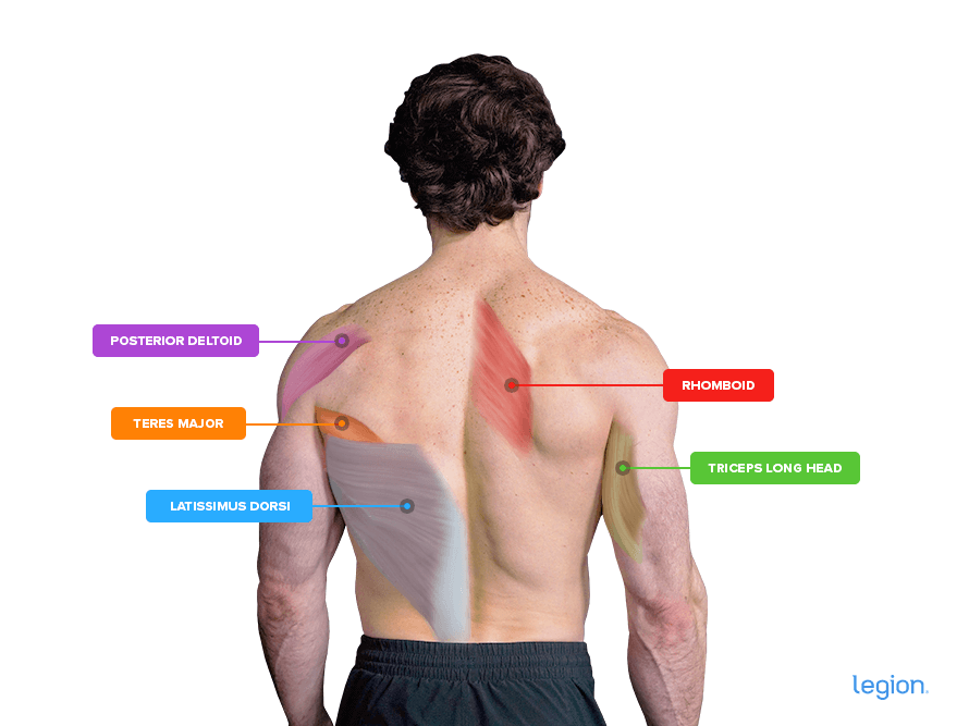 Thread 'How to Do the Cable Pullover: Muscles Worked, Form, and Alternatives'