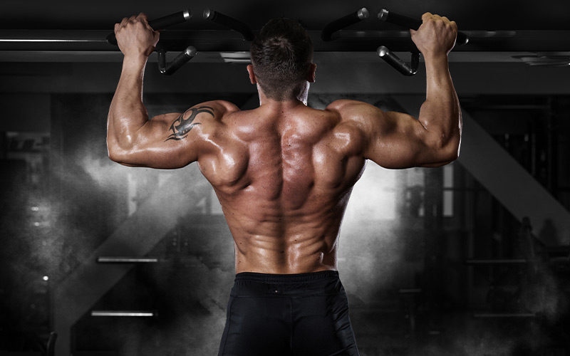 Back shot of muscular shirtless man doing pull ups in the gym