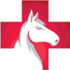 equinemedicals.com