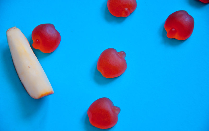 Swolverine apple cider vinegar gummies and apple slices on a blue background.