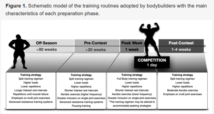 training-routines-competitive-bodybuilders.png