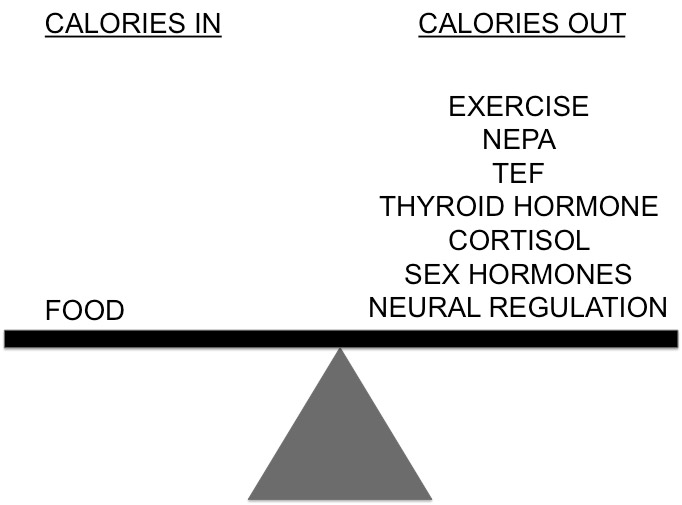 Calories In vs Calories Out