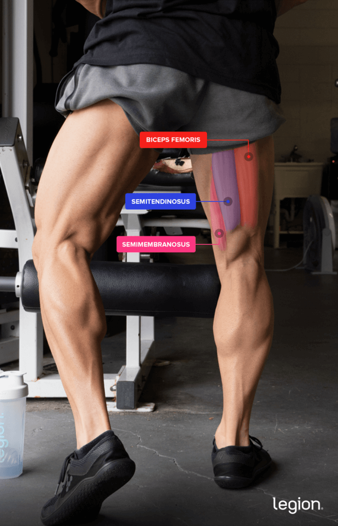 Thread 'How to Do the Nordic Hamstring Curl'