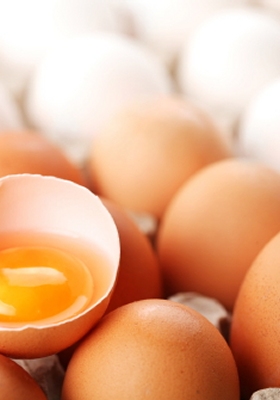 Protein foods: eggs