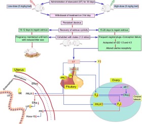 www.sciencedirect.com