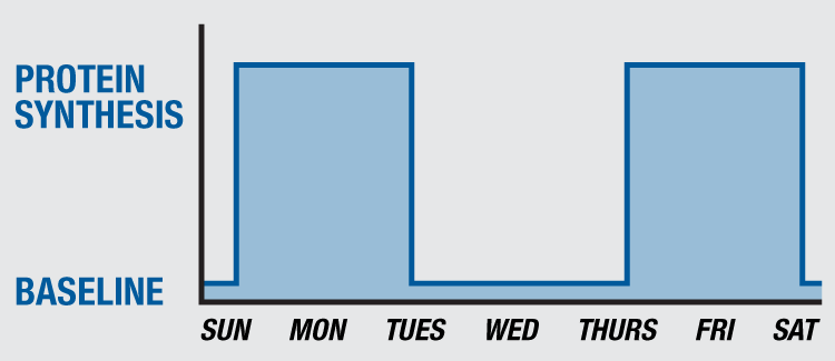 MAUL Training Chest Chart 2