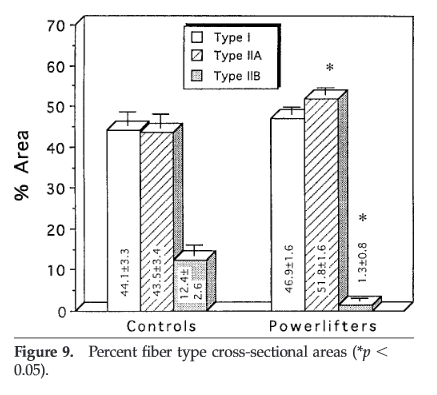 Fiber-Types-Powerlifters-Fry-2003.png