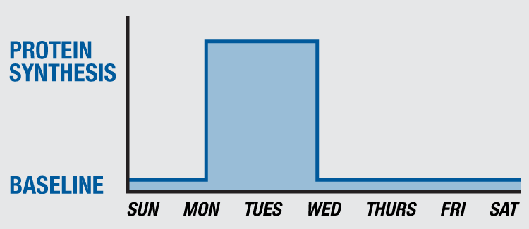 MAUL Training Chest Chart 1