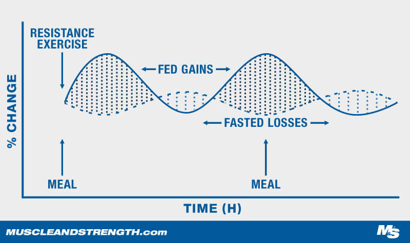 The Unlimited Diet Plan Graph 3