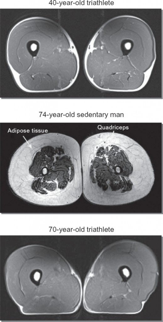 muscle-loss-aging.jpg